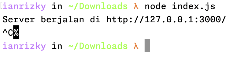 Example output of a REST API in Node.js