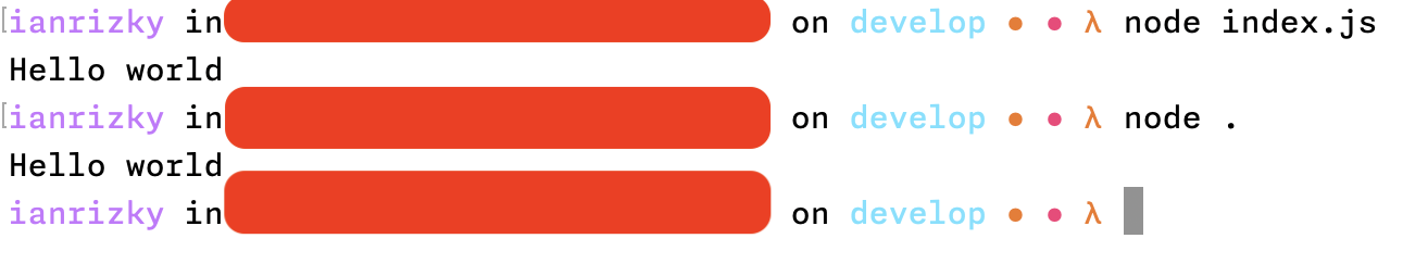 Example of index.js output in the terminal