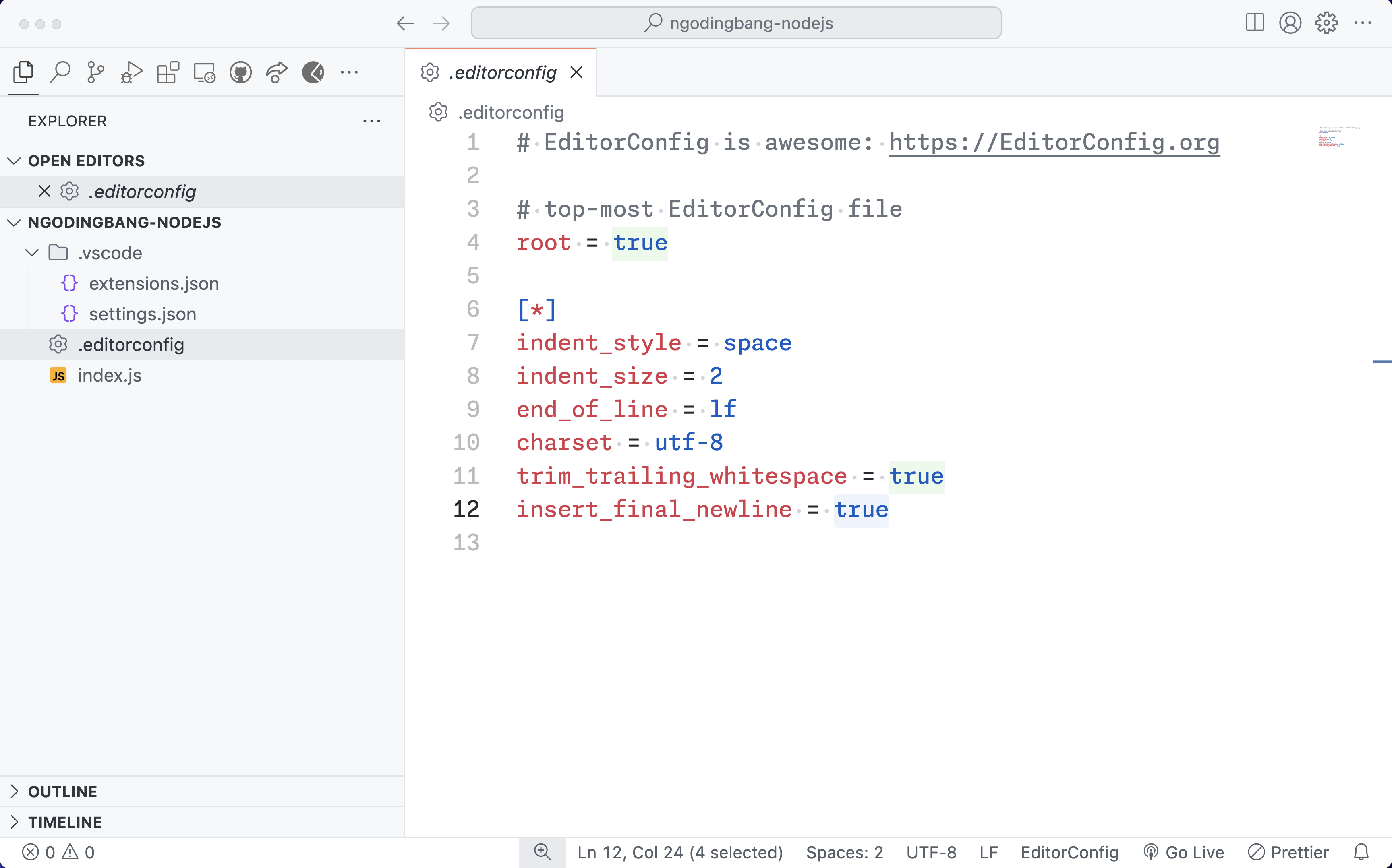 Example of .editorconfig configuration in VSCode.