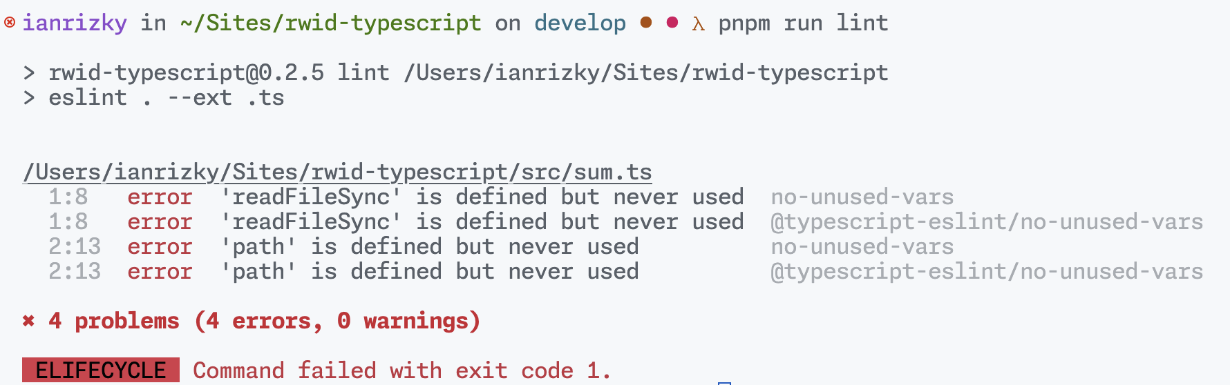 pnpm run lint