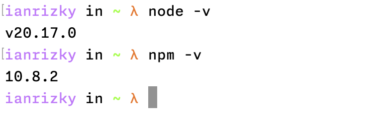 Checking Node.js and npm versions in the terminal.