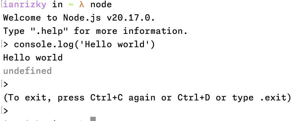 Example of REPL output in Node.js